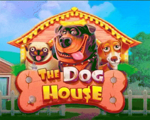 play The Dog House in gambloria casino